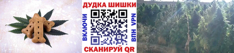 сколько стоит  Безенчук  Canna-Cookies конопля 