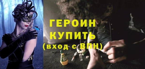 гашик Алексин