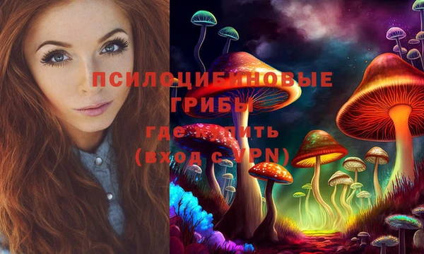 гашик Алексин