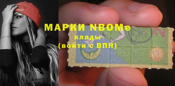 гашик Алексин