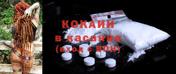 гашик Алексин