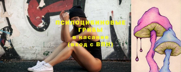 гашик Алексин