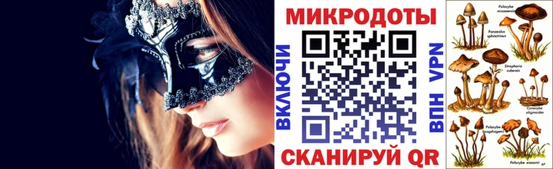 Псилоцибиновые грибы Psilocybe наркотики Безенчук